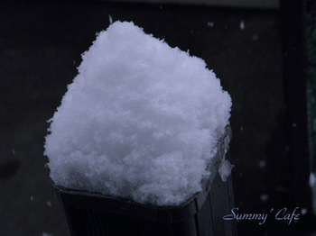 Summy' Cafe Snow -1.jpg