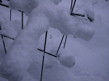 Summy' Cafe Snow ４.jpg