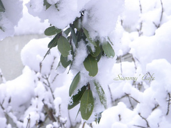 Summy' Cafe Snow -38.jpg
