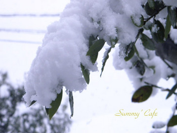 Summy' Cafe Snow -40..jpg