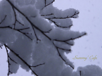Summy' Cafe Snow -41.jpg